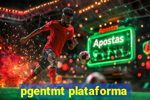 pgentmt plataforma